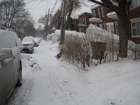 Canada - Montréal - un peu de neige
