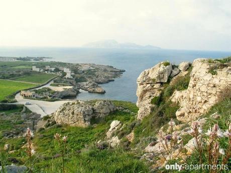 Favignana