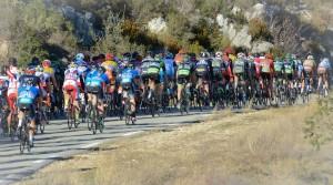 10974702_803822152999048_98703879870994921_o