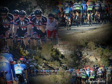 10994463_804038206310776_5655583287083797987_n