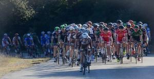 10960216_803818019666128_3096114989584698047_o