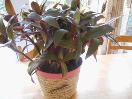 Déco de pot en ficelle