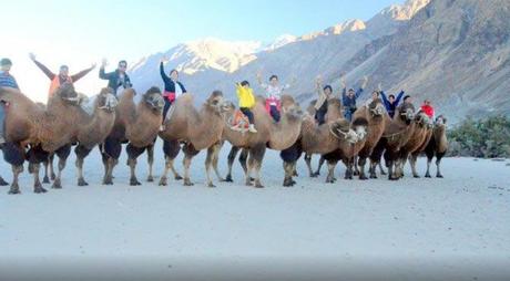 SAFARI à la vallée Nubra