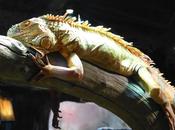 Aquarium Périgord Noir