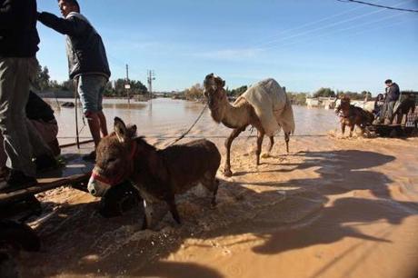 À Gaza, les inondations provoquées par Israël ravivent les tensions