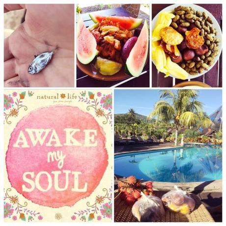 My Bali : Part 1 – la culture food