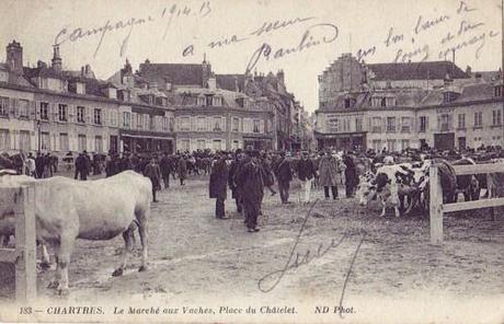 chartres marché vaches