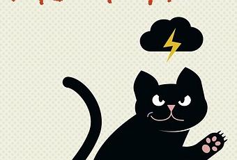 Journal Intime D Un Chat Acariatre Frederic Pouhier Et Susie Jouffa Paperblog