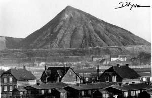 [C] A la grâce de David Carton