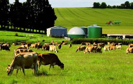 Etude 2013 : Quelle contribution de l'agriculture française à la réduction des émissions de gaz à effet de serre ? © PERROT Patricia 