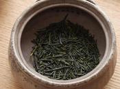 Infusion sencha, ouverture feuilles