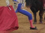 Seville absents toujours tort