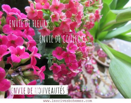 Atelier marimerveille février 2015