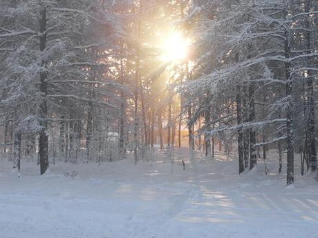 Divers-Paysages insolites - 2