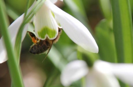 Un air de printemps