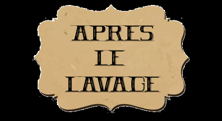 Conseils pour de beaux cheveux autour du lavage