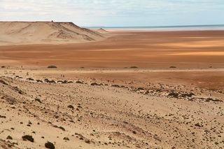 11014819_10153087231563537_1544667333921403943_n