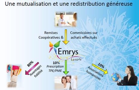 Emrys-mutualisation