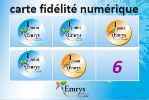 Carte-Emrys-fidelite-points-jaunes