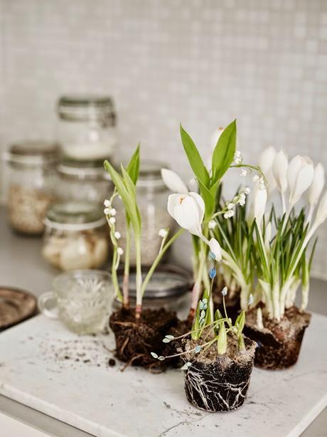 Petit-appartement-pastel-et-bois-Decor-dots-via-Nat-et-nature Sem 9_2015 sur les blogs déco