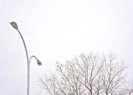 Petit coin du ciel #20 anteketborka.blogspot.com, ciel 20 e