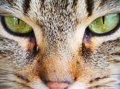 métier, passion job,