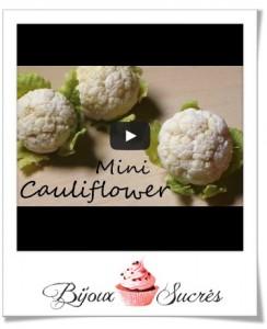 diy choux fleur fimo