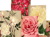 "Roses histoire lyonnaise" exposition Lyon