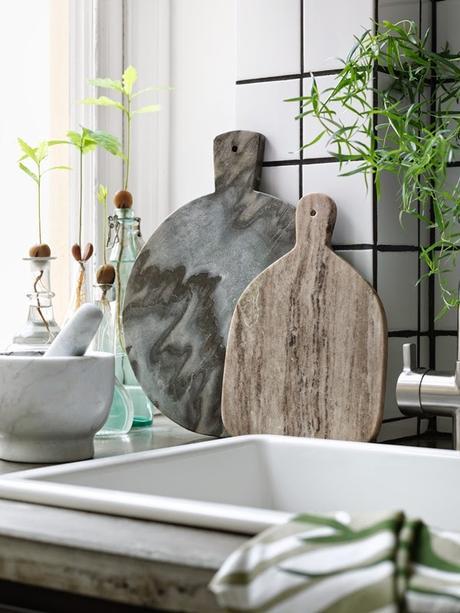 Du vert dans la maison : ça fait du bien !