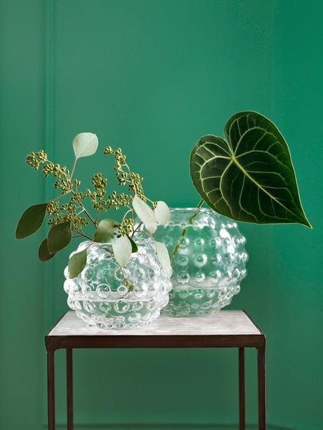 Du vert dans la maison : ça fait du bien !