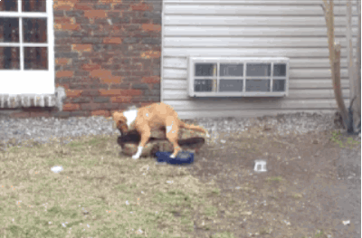 La magie des internet #23 BDTG La magie des internet #23 BDTG