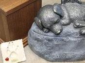 Puis enterrer animal dans jardin?ou..