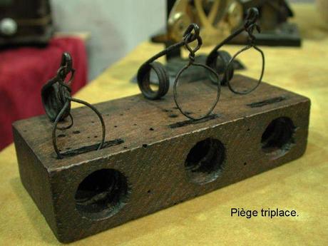 Divers - Objets insolites - 3