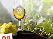 Rochelle Agglo Salon Nieul-sur-Mer, samedi dimanche mars 2015