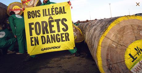 TraficBois : action au ministère ! Ce matin 4 mars, à 7h30, des activistes de Greenpeace ont déposé une grume de bois tropical devant le ministère de l’Écologie