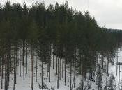 Anaïs] stage préparation Vuokatti