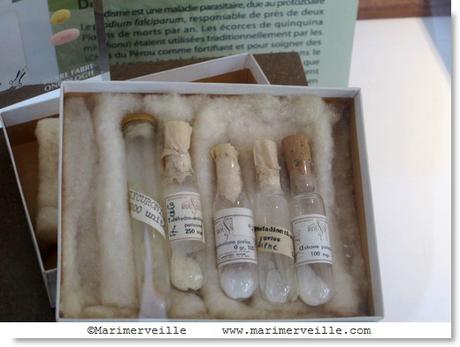 petits flacons contraceptifs - galerie botanique -Marimerveille