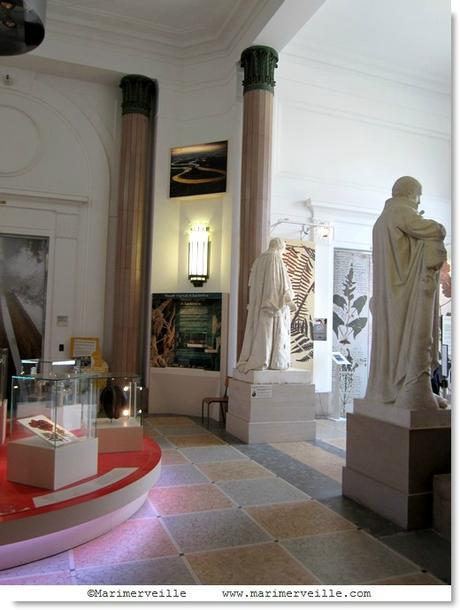 entrée galerie botanique -marimerveille