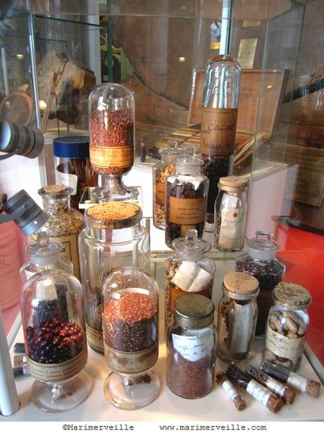 autour du Cacao galerie botanique Marimerveille