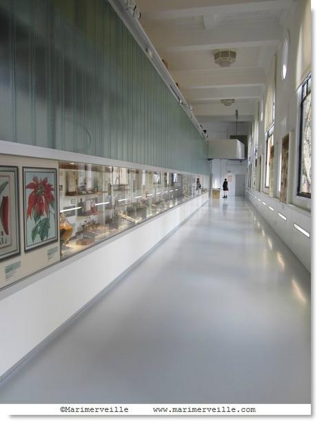 Muséum nationale, galerie botanique