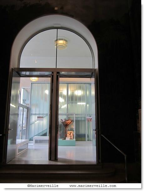 Galerie botanique jardin des plantes - marimerveille