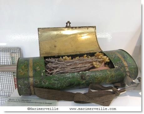 Boîte à herboriser - galerie botanique - Marimerveille