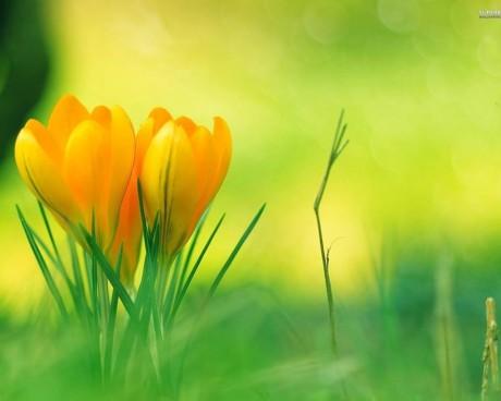 Chacune de vos pensées