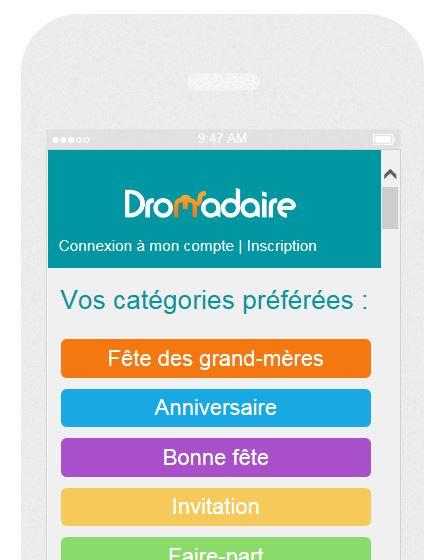 Dromadaire_responsive