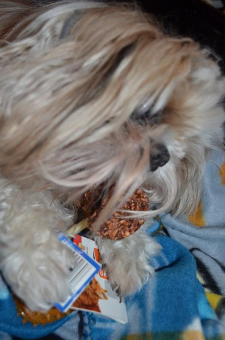 WOUFBOX FEVRIER (10)