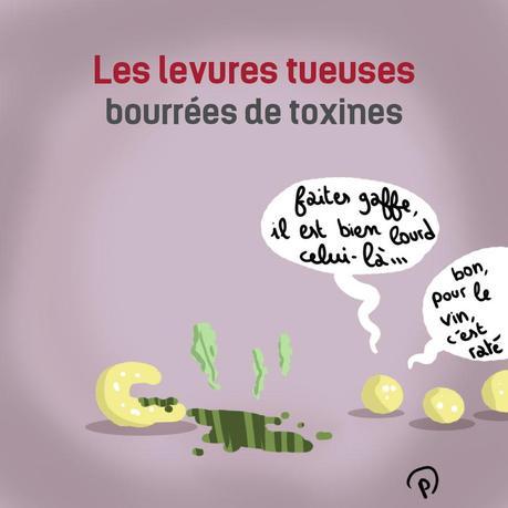 Retranscription : Evolution et chimères, interview du Professeur Selosse pour Podcast Science ps193_B2MKHfDIAAEfV0s.jpg