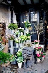 20150218054402-London-Greg-24 20150218054402-London-Greg-24