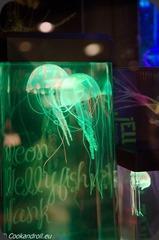 20150218055604-London-Greg-30 20150218055604-London-Greg-30