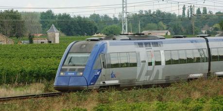 Les Verts préfèrent le TER au TGV