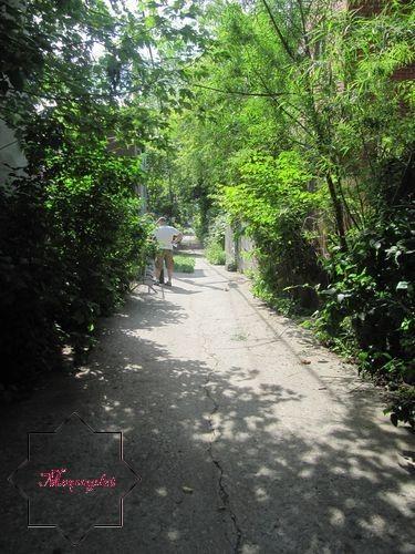 Canada - Montréal - Les ruelles vertes - 2